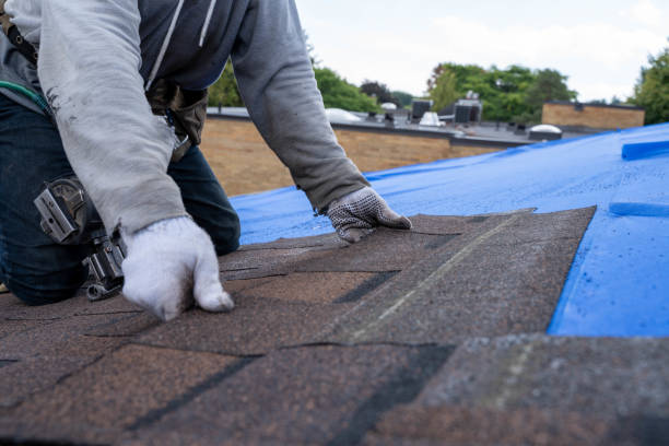 Best Storm Damage Roof Repair  in Wheaton, IL